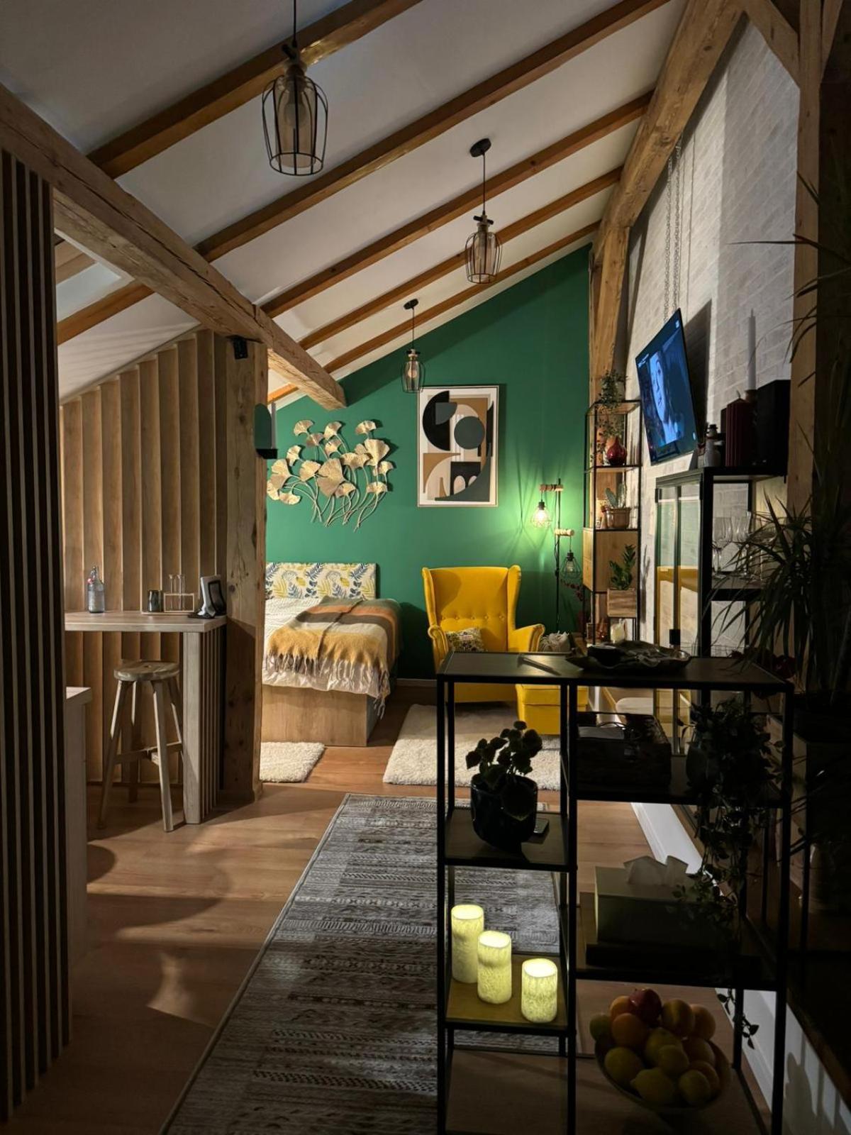 Studio Rezistenta ฟาการาช ภายนอก รูปภาพ